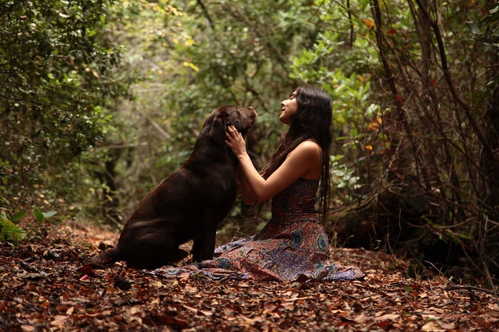 Mujer y perro compartiendo un momento en el bosque
