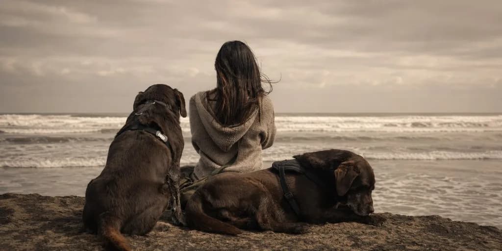 Mujer y dos perros sentados juntos frente al océano, representando el vínculo humano-animal